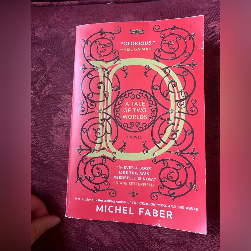 A Tale of Two Worlds by Michel Faber (Young Adult Fantasy Novel)